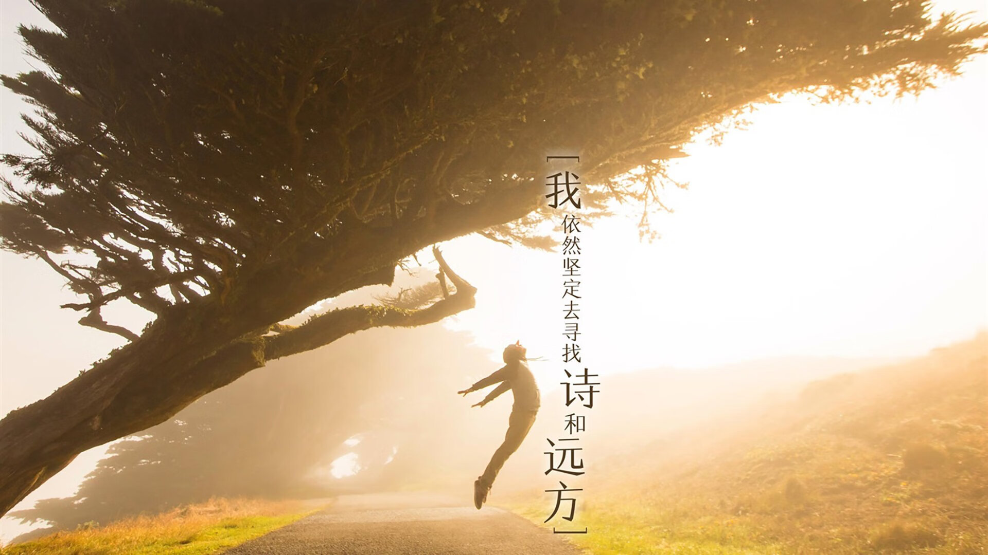 世界桥牌锦标赛:牌手组合夺冠庆祝胜利,世界桥牌联合会